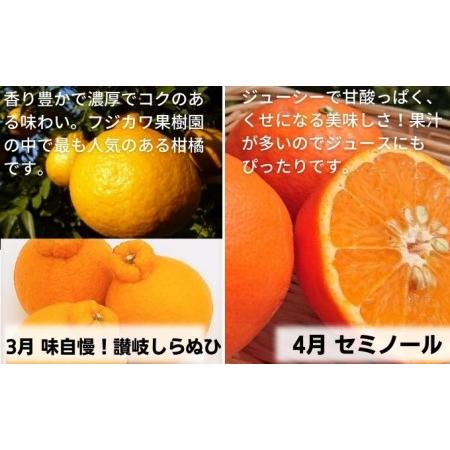 ふるさと納税 【9回頒布会】フジカワ果樹園オリジナル・新季節の柑橘セット 定期便 食べ比べ  香川県観音寺市_4