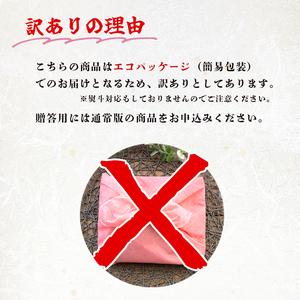 ふるさと納税 訳あり ローストビーフ 600g （300g×2本） 簡易包装 SDGs 京都府舞鶴市の画像