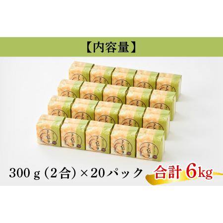 ふるさと納税 【令和5年産】真空パック 福井県産こしひかり 300g(約2合) × 20パック 計6kg[B-017011] 福井県小浜市｜furunavi｜02