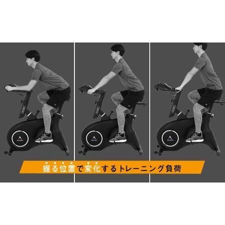 ふるさと納税 スピンバイク1521WH ホワイト/BK1521WH[AOAB028] エアロ