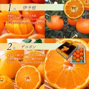 ふるさと納税 【先行予約】えひめ かんきつ定期便（全6回・11月〜発送）【紅まどんな せとかなど】  愛媛県西条市_2