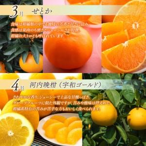 ふるさと納税 【先行予約】えひめ かんきつ定期便（全6回・11月〜発送）【紅まどんな せとかなど】  愛媛県西条市_3