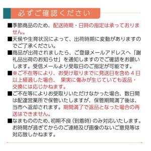 ふるさと納税 【先行予約】えひめ かんきつ定期便（全6回・11月〜発送）【紅まどんな せとかなど】  愛媛県西条市_4