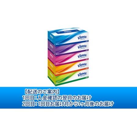 ふるさと納税　ティッシュペーパー　クリネックスティシュー　60箱　360枚（180組）5箱×12パック入り　宮城県岩沼市