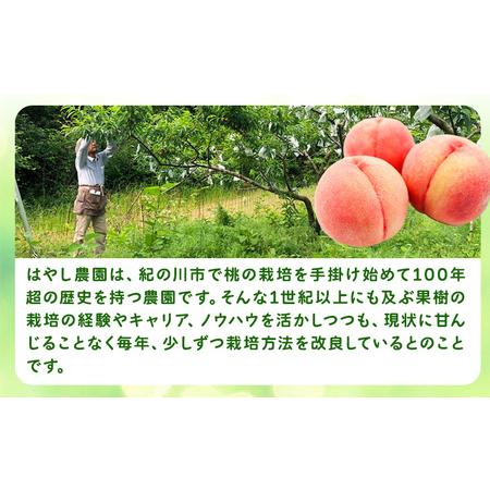 ふるさと納税 桃 朝採り 桃 約2kg 和歌山県紀の川市の画像