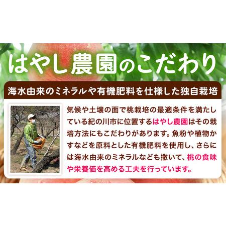 ふるさと納税 桃 朝採り 桃 約2kg 和歌山県紀の川市の画像