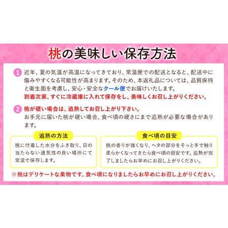 ふるさと納税 桃 朝採り 桃 約2kg 和歌山県紀の川市の画像