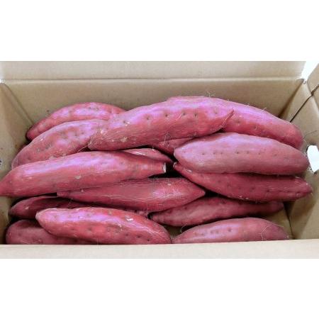 ふるさと納税 金時いも 10kg (5kg×2) さつまいも いも 芋 熊本県菊陽町|furunavi|02