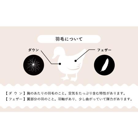 ふるさと納税 羽毛布団【シングル】肌掛 イングランド産ホワイトダウン90％400gDP360【H-5】 山梨県大月市の画像