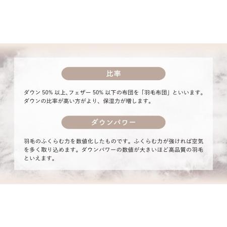 ふるさと納税 羽毛布団【シングル】肌掛 イングランド産ホワイトダウン90％400gDP360【H-5】 山梨県大月市の画像