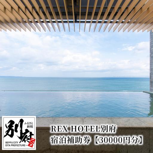 ふるさと納税 REX HOTEL別府 宿泊補助券【30000円分】_B136-001 大分県