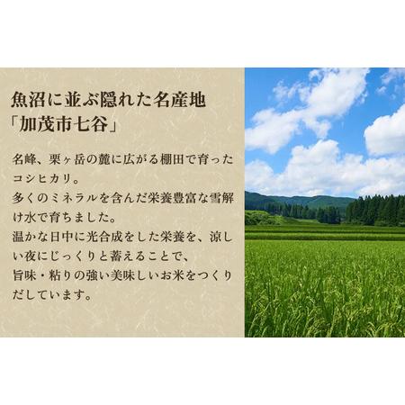 ふるさと納税 【令和5年産米】新潟県加茂市七谷産コシヒカリ 精米25kg（5kg×5）白米 捧運次商店 コシヒカリ 新潟県産コシヒカリ 米 お米コ.. 新潟県加茂市｜furunavi｜02