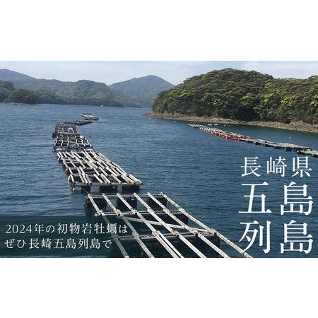 ふるさと納税 長崎県五島列島産【超極濃プレミアム】岩牡蠣20個入（1個100g〜150g×20） 長崎県｜furunavi｜05