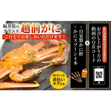（新品,未開封） ふるさと納税 越前がに本場の越前町からお届け！ 越前ガニ浜茹で 特大 × 2杯（生で計2kg以上） 越前がに漁師厳選！かに酢 かにスプーン4本 .. 福井県越前町 【4611763416】(162400円)