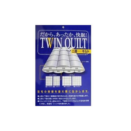 ふるさと納税 【羽毛布団】掛け布団 シングル ポーランド産マザーグース95％ ダウンパワー470 二層SP【BE098VC01】 山梨県富士河口湖町_1