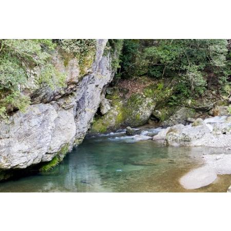 ふるさと納税 農林漁業体験民宿「木木屋」日帰り体験ペア利用券／地域活性化協議会　ふるさと納税　アウトドア　三重県　大紀町 三重県大紀町_1