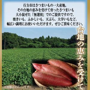 ふるさと納税 【訳あり】 紅はるか 約10kg 【2026年9月より順次発送】｜紅はるか 無選別 先行予約 行方台地 さつまいも 茨城県(CU-55-4) 茨城県行方市の画像
