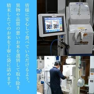 お取寄せ ふるさと納税 令和5年産 ひとめぼれ 無洗米 10kg(5kg×2袋)　山形県庄内産　有限会社 阿部ベイコク 山形県鶴岡市