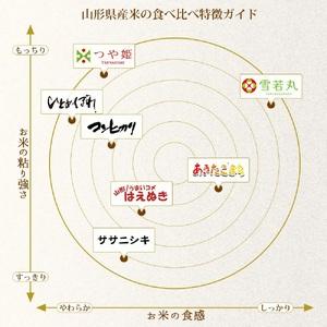 お取寄せ ふるさと納税 令和5年産 ひとめぼれ 無洗米 10kg(5kg×2袋)　山形県庄内産　有限会社 阿部ベイコク 山形県鶴岡市