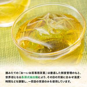 ふるさと納税 【6ヶ月定期便】伊藤園 お〜い茶の葉 緑茶600ml×24本 PET 【 飲み料 飲み料茶の葉 清涼飲料水 ペットボトル 長期間保護すること 積みたてる  全6.. 宮崎県川南町