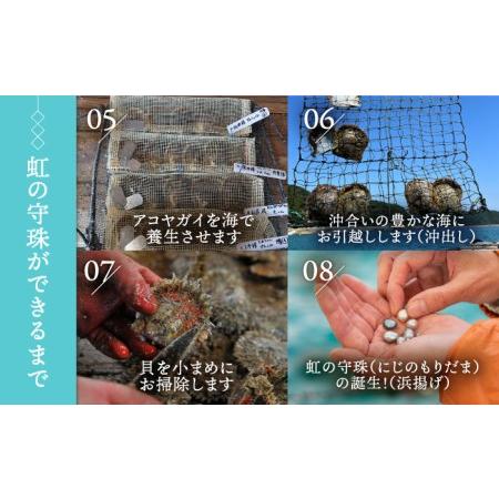 ふるさと納税 真珠葬 / ペット 供養 遺骨 真珠 思い出 五島市 / ウービィー株式会社 [PEZ001] 長崎県五島市の画像