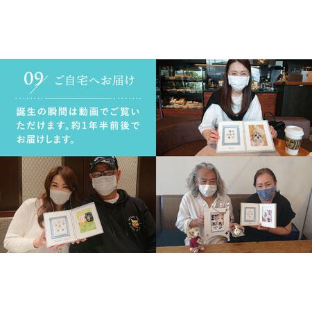 ふるさと納税 真珠葬 / ペット 供養 遺骨 真珠 思い出 五島市 / ウービィー株式会社 [PEZ001] 長崎県五島市の画像