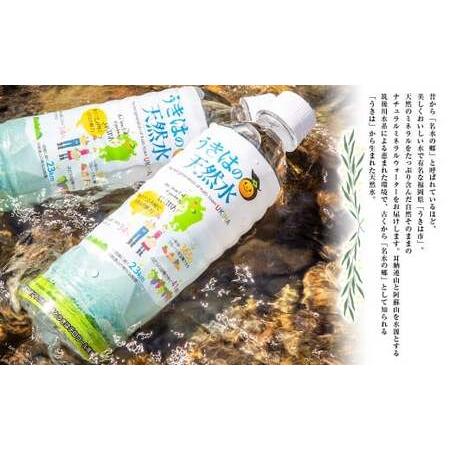ふるさと納税 うきは名水 うきはの天然水 (500ml×24本入り) 2箱 ナチュラルミネラルウォーター 福岡県うきは市の画像