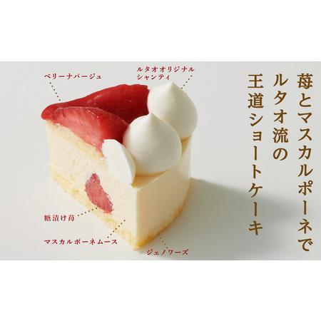 ふるさと納税 【年内発送】クリスマスケーキ ノエルデュオ 季節限定 【ルタオ】 北海道千歳市 ゼラチン 4号 直径12cm 小麦 乳成分