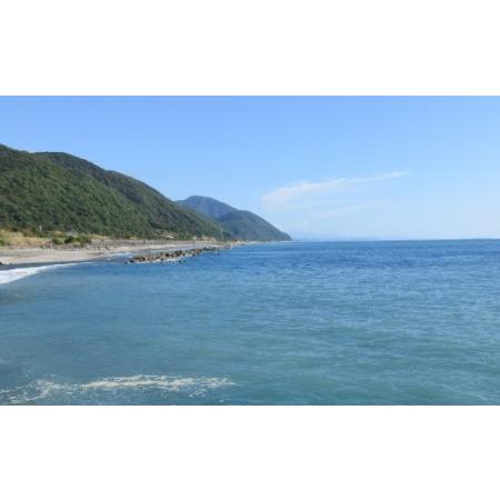 ふるさと納税 活き 伊勢海老 4〜10尾 2kg 伊勢海老 高知県室戸市の画像