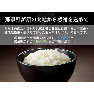 ふるさと納税 【大田原市・那須塩原市・那須町共通返礼品】令和5年産 栃木県産 なすひかり 5kg JAなすの産地直送 〔P-50〕※沖縄・離島への配送.. 栃木県那須町｜furunavi｜02