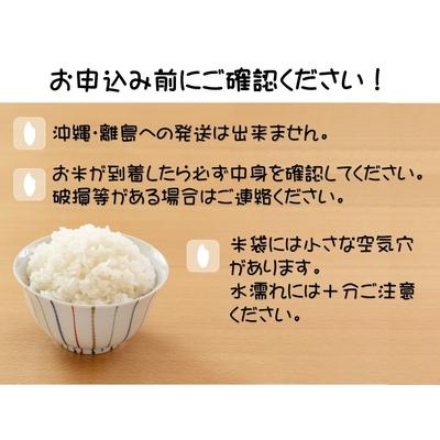 ふるさと納税 【大田原市・那須塩原市・那須町共通返礼品】令和5年産 栃木県産 なすひかり 5kg JAなすの産地直送 〔P-50〕※沖縄・離島への配送.. 栃木県那須町｜furunavi｜03