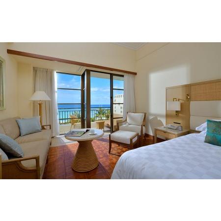 ふるさと納税 ザ・ブセナテラス館内利用券（1000円分×10枚） 沖縄県名護市 