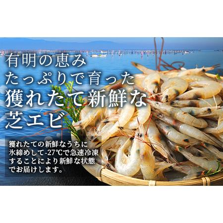 ふるさと納税  冷凍芝エビ（真エビ）2.5kg（500g×5パック） B-357 佐賀県鹿島市｜furunavi｜02