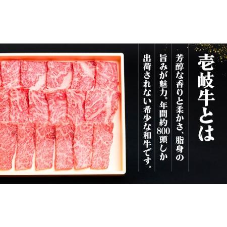 ふるさと納税 【全6回定期便】《A4?A5ランク》壱岐牛と旬の野菜定期便 [JBO078] 《A4?A5ランク》肉 黒毛和牛 長崎県壱岐市_2