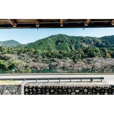 ふるさと納税 湖畔の宿なないろペア1泊2日ご宿泊券　素泊まり（食事なし） 奈良県下北山村 