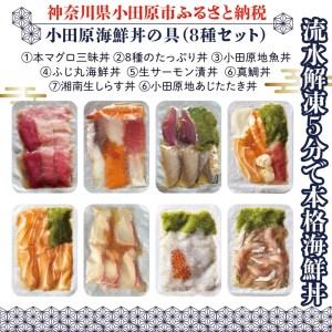 ふるさと納税 【高級食材本マグロ、曽我の梅干し、小田原地あじ、小田原港直送地魚丼、大磯港直送、湘南生しらす】小田原海鮮丼の具（8種セ.. 神奈川県小田原市 寄附申込みのキャンセル 返礼品の変更 また あらかじめご了承ください ↓↓↓