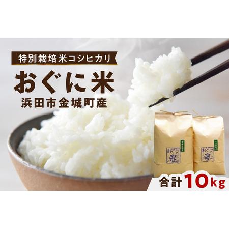 ふるさと納税 【令和7年産】浜田市金城町産の美味しいコシヒカリ100