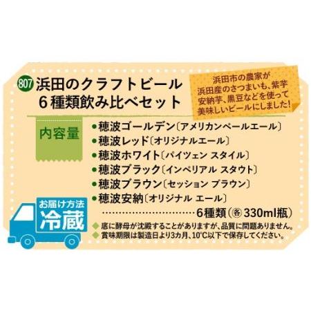 ふるさと納税 浜田のクラフトビール 6種類飲み比べセット ビール クラフトビール 地ビール ビア アルコール 飲み比べ セット 飲料 酒 【807】 島根県浜田市｜furunavi｜02