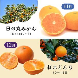 ふるさと納税 【定期便】えひめかんきつ定期便 全6回 ＜みかん 柑橘 フルーツ 定期便 国産 愛媛県 ＞ ※2026年11月〜発送 愛媛県鬼北町_1