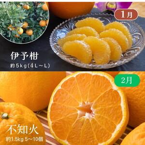ふるさと納税 【定期便】えひめかんきつ定期便 全6回 ＜みかん 柑橘 フルーツ 定期便 国産 愛媛県 ＞ ※2026年11月〜発送 愛媛県鬼北町_2