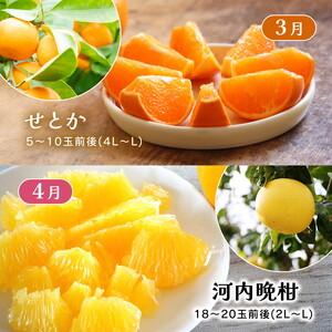 ふるさと納税 【定期便】えひめかんきつ定期便 全6回 ＜みかん 柑橘 フルーツ 定期便 国産 愛媛県 ＞ ※2026年11月〜発送 愛媛県鬼北町_3