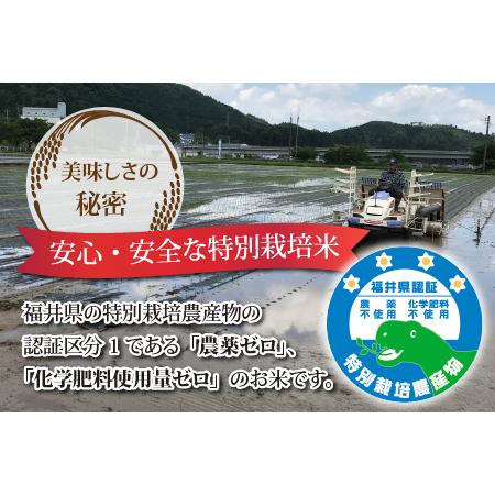 新入荷 ふるさと納税 【先行予約】【12ヶ月連続お届け】【新米】【玄米】令和5年度産 永平寺町産 農薬不使用・化学肥料不使用 特別栽培米 コシヒ.. 福井県永平寺町 【R3056695687】(107640円)