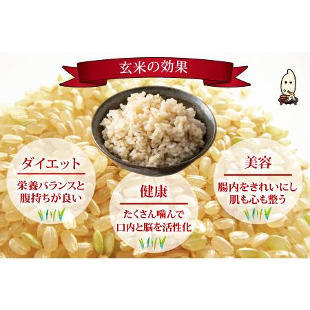 新入荷 ふるさと納税 【先行予約】【12ヶ月連続お届け】【新米】【玄米】令和5年度産 永平寺町産 農薬不使用・化学肥料不使用 特別栽培米 コシヒ.. 福井県永平寺町 【R3056695687】(107640円)