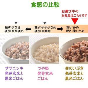 ふるさと納税 金のいぶき発芽玄米と黒米を炊いたごはん150g×16パック（有機栽培玄米使用） 宮城県登米市｜furunavi｜04