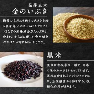 ふるさと納税 発芽玄米パックご飯 40パック 金のいぶき発芽玄米 黒米 無農薬 発芽玄米 レンジ 有機栽培 パックライス ご飯 米 レンチン 【有機農.. 宮城県登米市