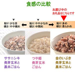 ふるさと納税 発芽玄米パックご飯 40パック 金のいぶき発芽玄米 黒米 無農薬 発芽玄米 レンジ 有機栽培 パックライス ご飯 米 レンチン 【有機農.. 宮城県登米市