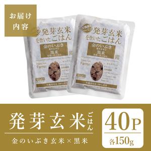 ふるさと納税 発芽玄米パックご飯 40パック 金のいぶき発芽玄米 黒米 無農薬 発芽玄米 レンジ 有機栽培 パックライス ご飯 米 レンチン 【有機農.. 宮城県登米市