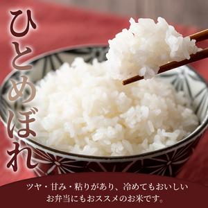 ふるさと納税 ≪令和7年産≫ ひとめぼれ 玄米 30kg 登米市産 お米 おこめ 米 コメ ご飯 ごはん おにぎり お弁当 【登米ライスサービス株式会社】.. 宮城県登米市の画像