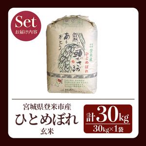 ふるさと納税 ≪令和7年産≫ ひとめぼれ 玄米 30kg 登米市産 お米 おこめ 米 コメ ご飯 ごはん おにぎり お弁当 【登米ライスサービス株式会社】.. 宮城県登米市の画像