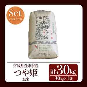 ふるさと納税 ≪令和7年産≫ つや姫 玄米 30kg 登米市産 お米 おこめ 米 コメ ご飯 ごはん おにぎり お弁当 【登米ライスサービス株式会社】tm14.. 宮城県登米市の画像